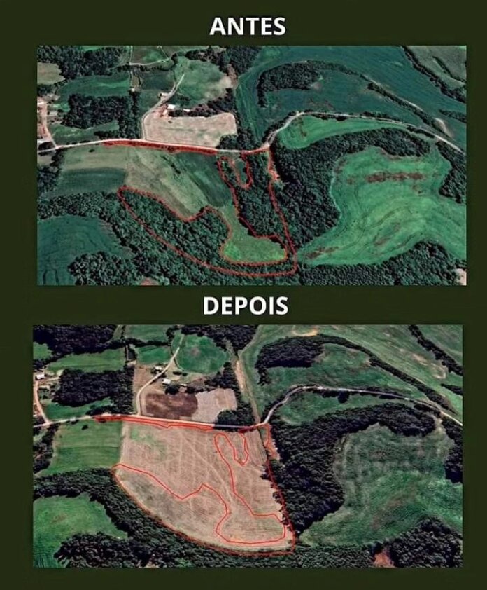 Batalhão Ambiental da Brigada Militar flagra 65.500 m² de destruição de vegetação nativa em Casca