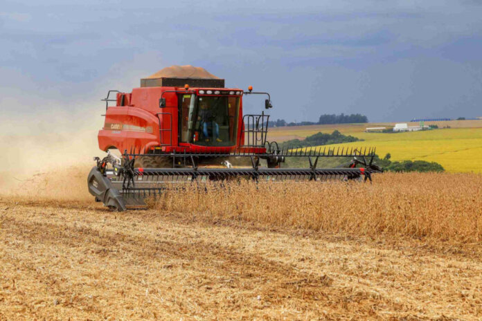 Produtores do RS dão sequência à colheita dos grãos