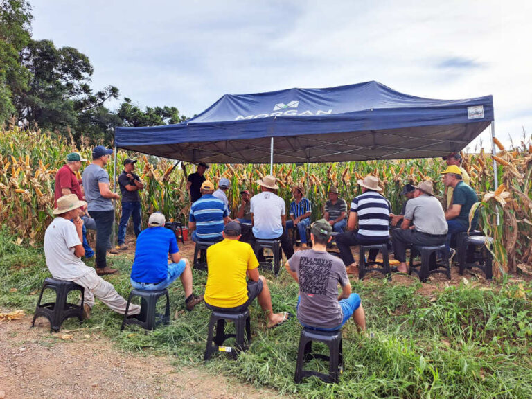 Atividade de campo apresenta nova variedade de milho em Casca