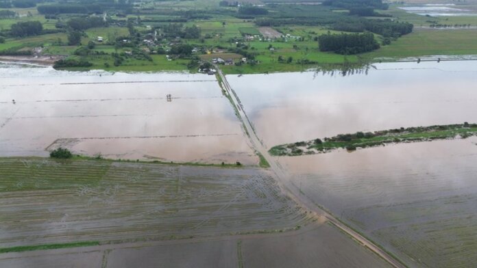 Produtores que tiveram perdas por eventos meteorológicos podem renegociar crédito rural