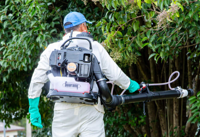 Quarenta casos de Dengue foram confirmados em Casca