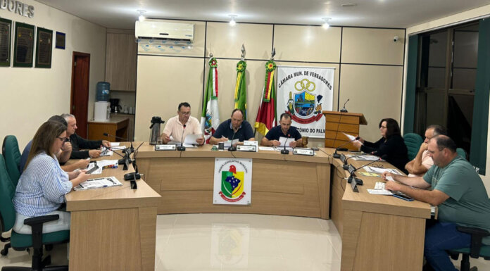 Resumo da Sessão Ordinária nº 11/2024 da Câmara de Vereadores de Santo Antônio do Palma