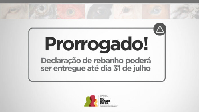 Declaração de rebanho tem prazo prorrogado para 31 de julho