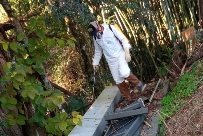 Prevenção e controle ao mosquito da dengue em Santo Antônio do Palma