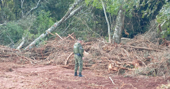 Brigada Militar flagra crimes contra a flora no município de Casca