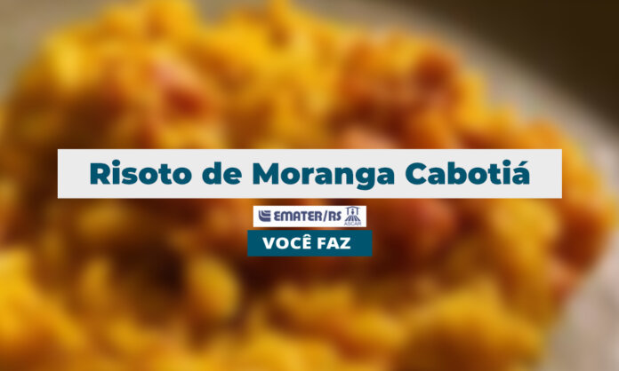 Risoto de Moranga Cabotiá | Você Faz