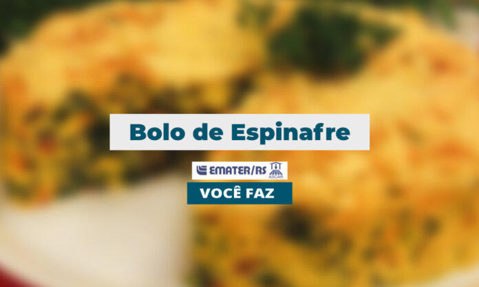 Bolo de Espinafre | Você Faz