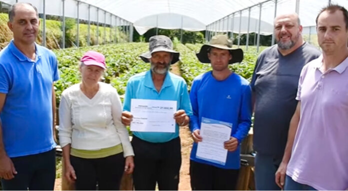 Entrega de incentivo do Proagri impulsiona agricultura familiar em Santo Antônio do Palma