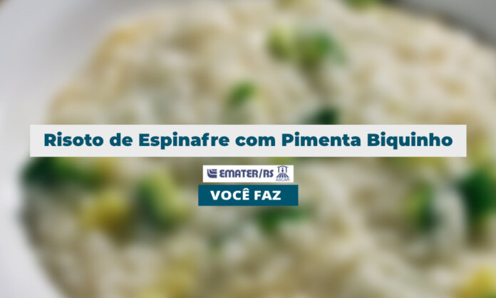 Risoto de Espinafre com Pimenta Biquinho | Você Faz