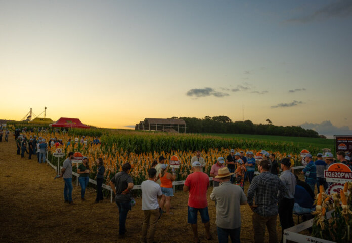 Coasa promove Noite de Campo de Milho - Especial 30 anos - e apresenta tecnologias para grão e silagem