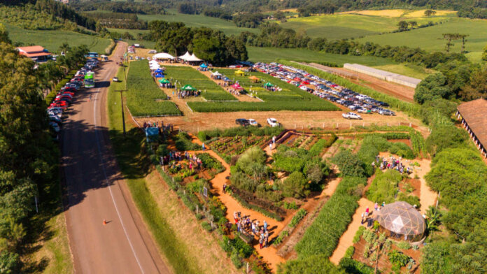 Coasa realiza os preparativos para o Dia de Campo - Especial 30 anos