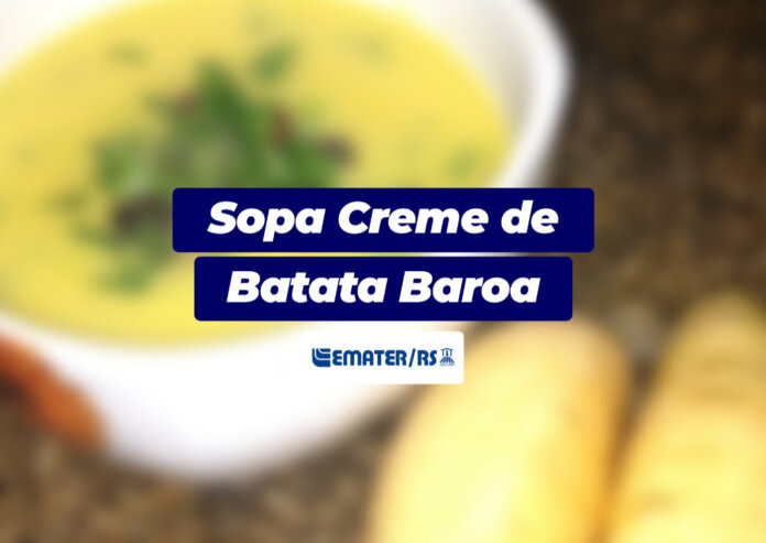 Sopa Creme de Batata Baroa | Você Faz