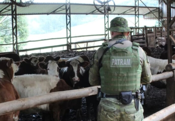 Brigada Militar flagra poluição do solo e hídrica em Ciríaco