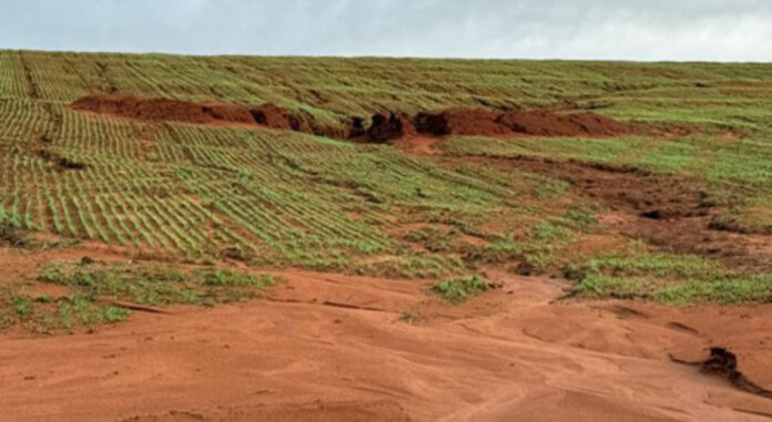 Chuvas prejudicam lavouras e atrasam plantio da safra de inverno no Rio Grande do Sul