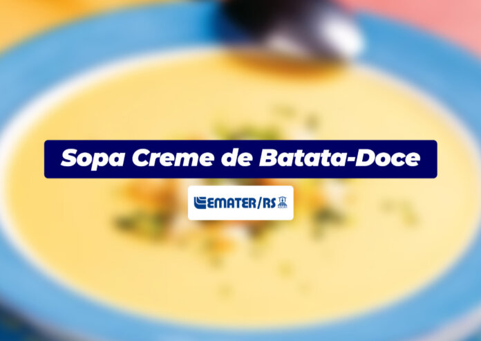 Sopa Creme de Batata-Doce | Você Faz