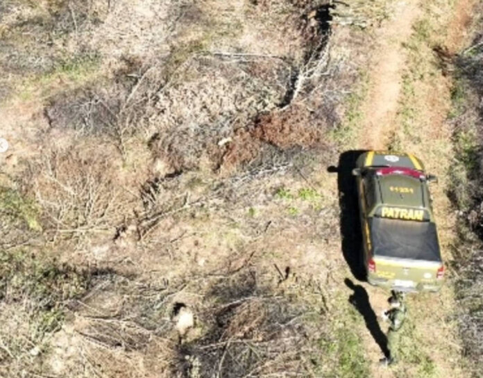 Brigada Militar atende duas ocorrências de infrações ambientais em Ciríaco