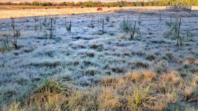 Frio e geada retornam ao Rio Grande do Sul nos próximos dias