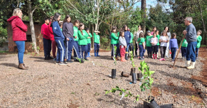 Coasa promove ações do Dia C de Cooperar em diferentes municípios da sua área de atuação