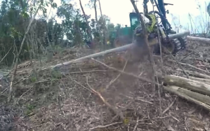 Acidente de trabalho deixa trabalhador gravemente ferido em Casca