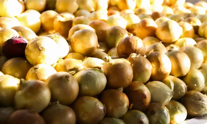 Preço médio dos alimentos recua em julho no Rio Grande do Sul com forte queda nas hortaliças e frutas