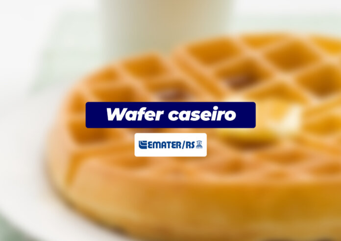 Wafer | Você Faz