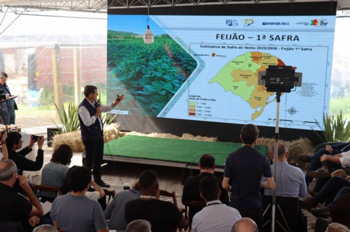 Emater/RS-Ascar projeta aumento na produção de soja e milho no RS