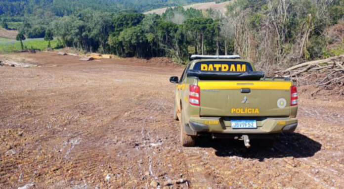 Crime contra a flora é constatado no interior de David Canabarro