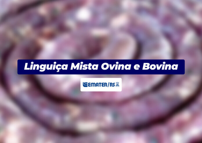 Linguiça Mista Ovina e Bovina | Você Faz