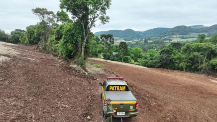 Brigada Militar flagra desmatamento ilegal em Casca e São Domingos do Sul