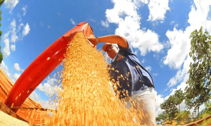 Safra deve recuar 3,7% em 2026, depois de um 2025 recorde