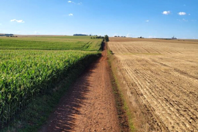 Produtores ajustam estratégias diante da previsão de La Niña