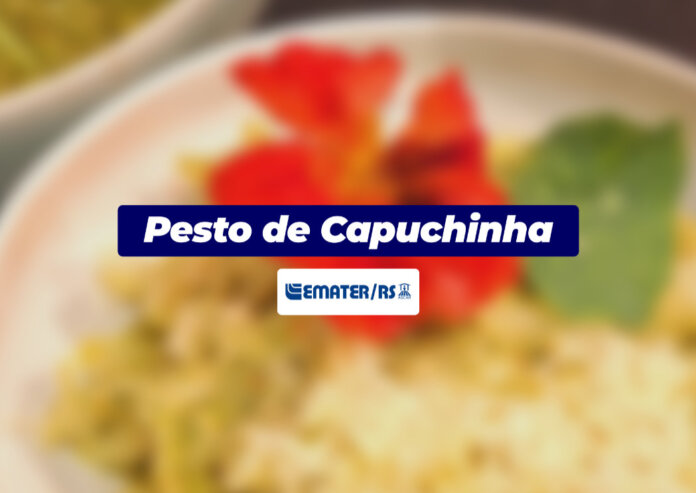 Colorido, fresco e levemente picante, o pesto de capuchinha é uma forma deliciosa de valorizar uma das flores comestíveis mais vibrantes da horta.