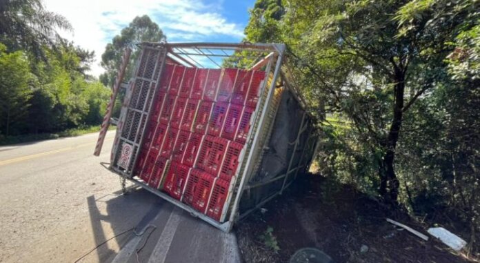 Caminhão carregado com frangos tomba na ERS-324 entre Marau e Passo Fundo