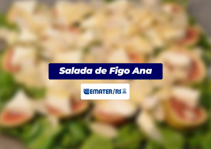 Salada de Figo Ana | Você Faz