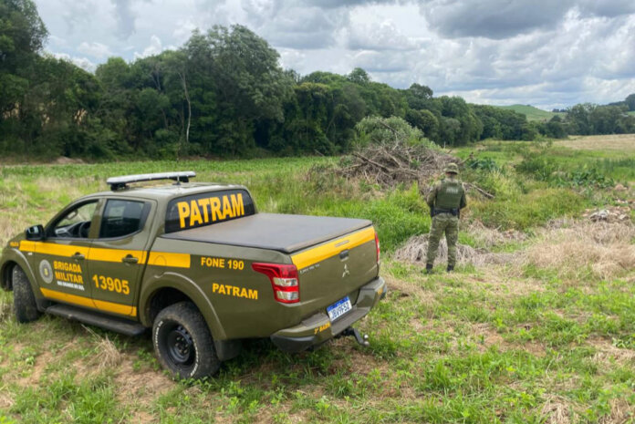 Brigada Militar flagra desmatamento irregular em área de preservação em David Canabarro