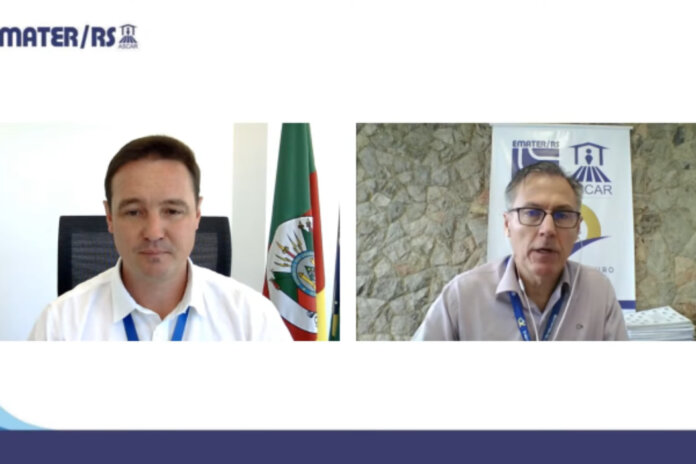 SDR, Emater/RS-Ascar e Fetag-RS apresentam orientações do Programa de Sementes e Mudas Forrageiras