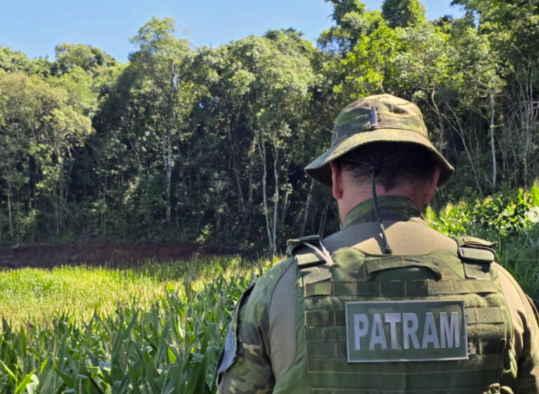 Brigada Militar flagra desmatamento ilegal no interior de Casca