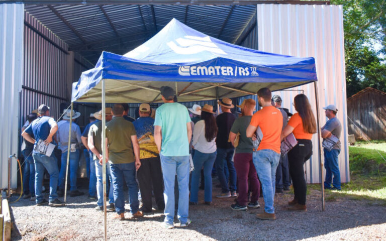 Dia de Campo em São Domingos do Sul destacou práticas para reduzir custos e aumentar a produtividade