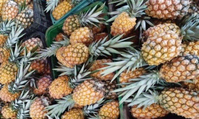 Frutas produzidas no Rio Grande do Sul têm aumento de consumo no verão