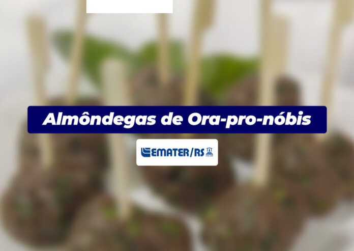 Almôndegas de Ora-pró-nóbis | Você Faz