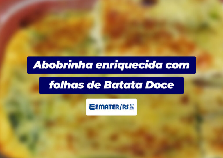 Abobrinha enriquecida com folhas de Batata Doce | Você Faz