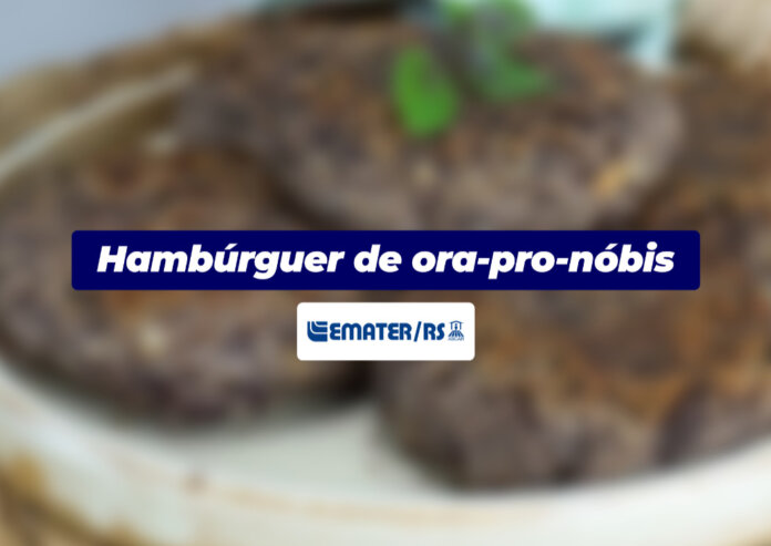 Hambúrguer de Ora-pro-nóbis