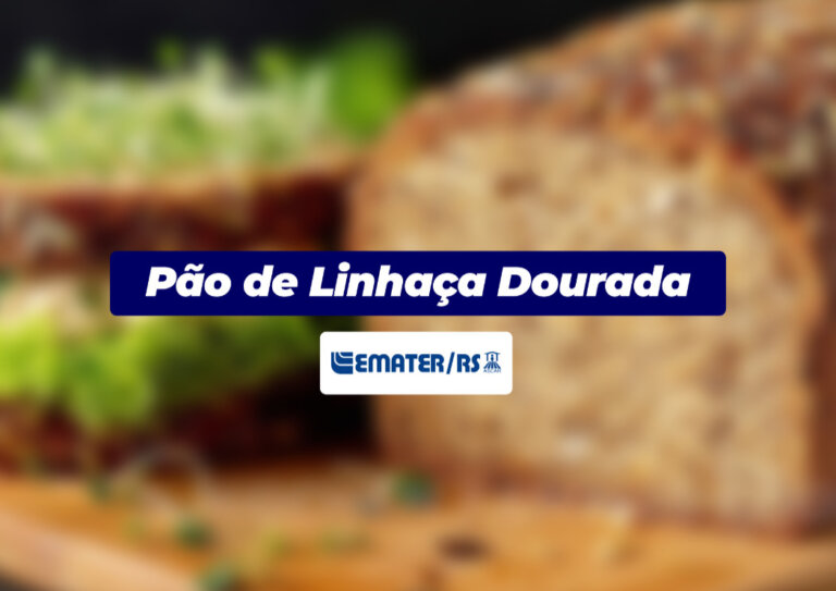 Pão de Linhaça Dourada | Você Faz