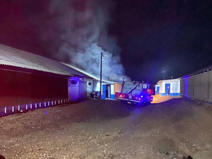 Incêndio atinge aviário no interior de Casca