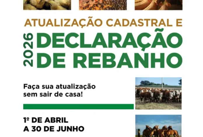 Declaração Anual de Rebanho encerra na próxima semana