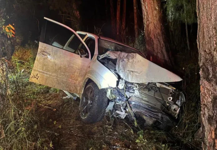 Saída de pista seguida de colisão contra árvore é registrada na ERS-324 entre Marau e Passo Fundo